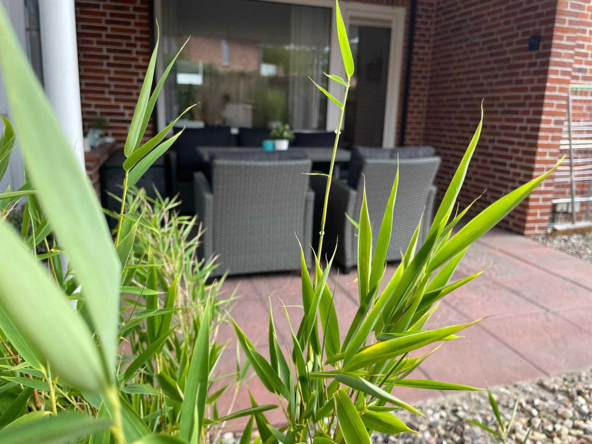 Apartament Kleine Sonne Grömitz Zewnętrze zdjęcie